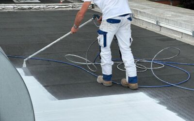 Le Cool Roofing : Pourquoi le blanc est-il l’avenir de votre toiture ?